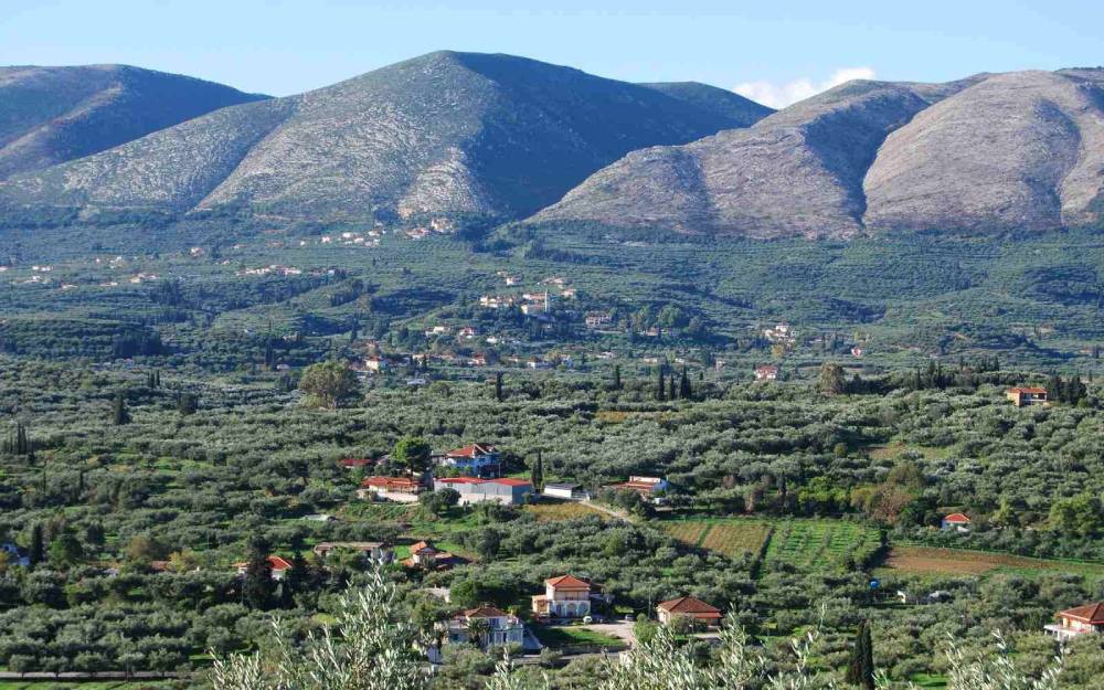 Private Tours & Transfers in Zakynthos - Fostours